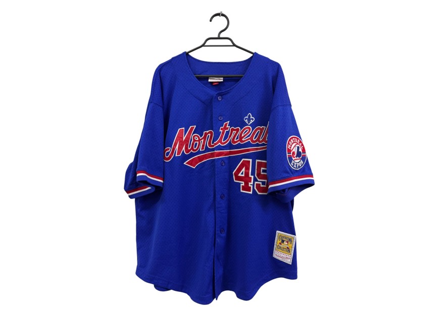 Polera mitchell and ness