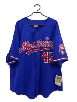 Polera mitchell and ness